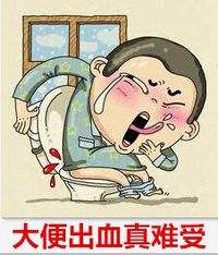 痔疮便血,痔疮拉血用什么好？