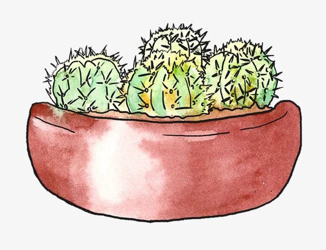 能让你受益的除痔疮妙招