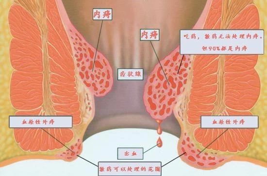 有备无患！这些成年人应该知道的事