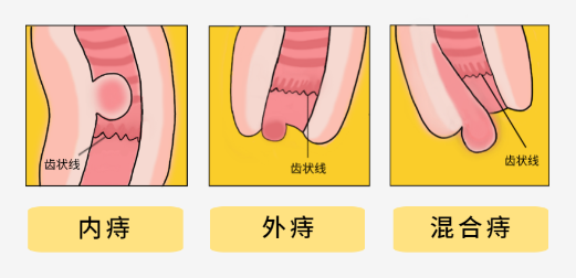 你有一份【菊花宝典】请查收