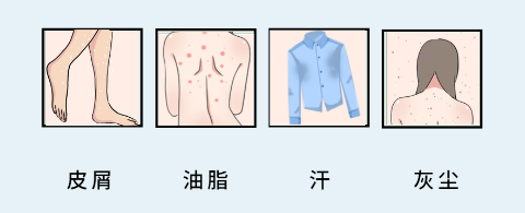 菊花想健康，洗洗很重要